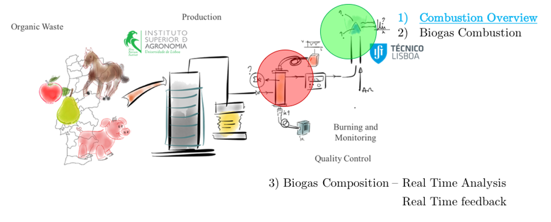Biogas Diagnosis and Monitoring